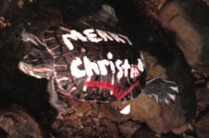 christmas turtle Christmas Turtle