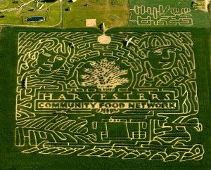 2012 Corn maze Website Link